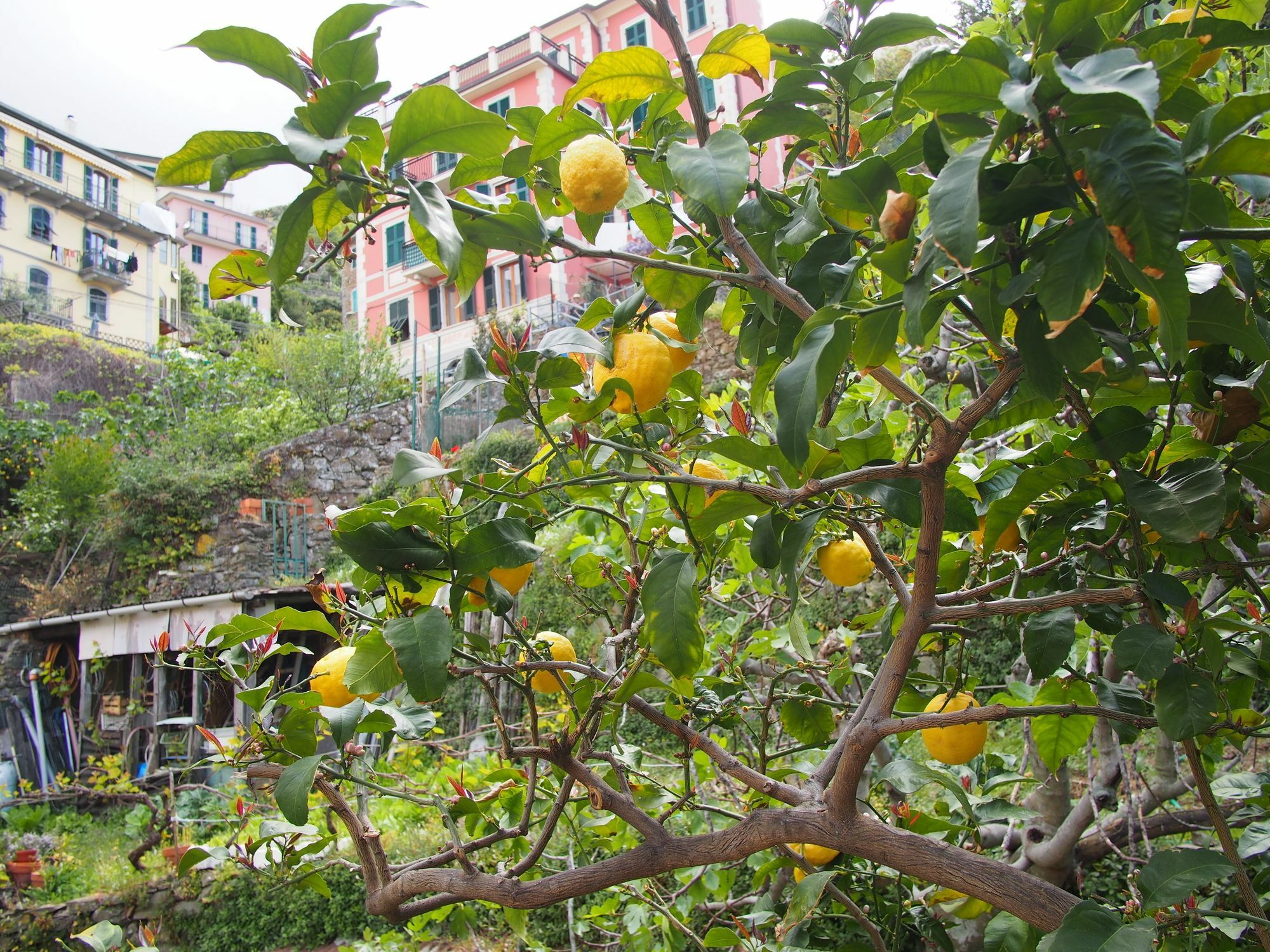 Hotel Ciao Bella Rainbow Riomaggiore Exterior foto